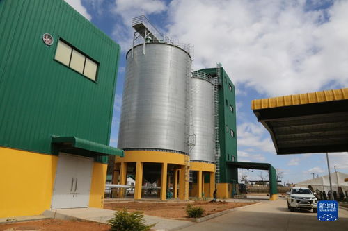 中国援建赞比亚玉米粉加工厂项目交付